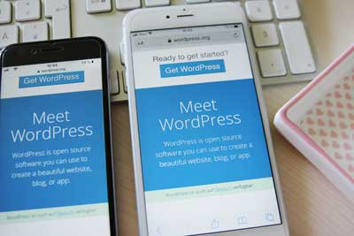 Wordpress ist bedienerfreundlich und schnell.